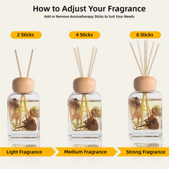 Collection image for: Reed Diffuser Sets All