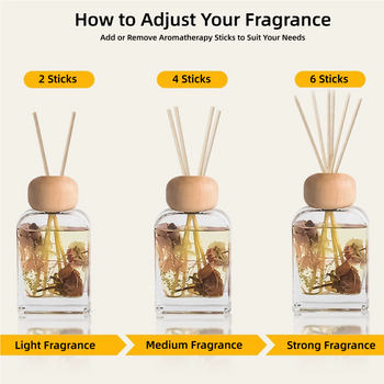 Reed Diffuser Sets All